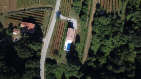 Hotels in Veli Turini